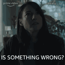 Is Something Wrong Anne Howard GIF - Is Something Wrong Anne Howard The Terminal List GIFs