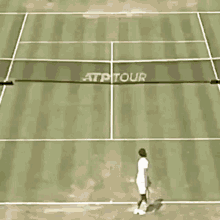 Peter Gojowczyk Serve GIF - Peter Gojowczyk Serve Tennis GIFs