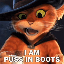 I Am Puss In Boots Puss GIF - I Am Puss In Boots Puss Puss In Boots The Last Wish GIFs