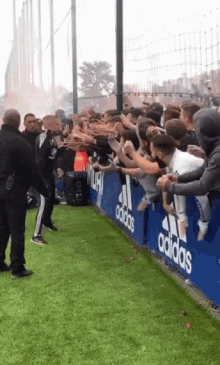 entraineur olympique lyonnais hand shake high five supporters entraineur olympique lyonnais hand shake high five supporters