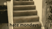 cat monday stairs i hate mondays falling off stairs cat