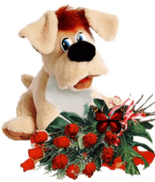 dog cartoon roses red bouquets
