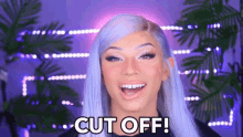 Cut Off Stop Right There GIF - Cut Off Stop Right There Shut Up GIFs