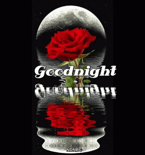 Goodnight Full Moon GIF - Goodnight Full Moon Red Rose - Discover ...