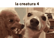 La Creatura4 GIF - La Creatura4 La Creatura La GIFs