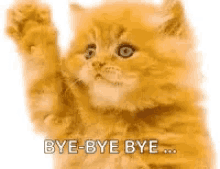 Bye Kitten GIF - Bye Kitten Goodbye GIFs