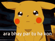 Pikachu Ara Bhay Par Tu Ha Kon GIF - Pikachu Ara Bhay Par Tu Ha Kon Pikachu Cry GIFs