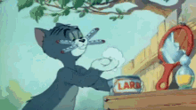Tom Y Jerry Tom And Jerry GIF - Tom Y Jerry Tom And Jerry Tom Cat GIFs