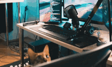 Xocliw Django GIF - Xocliw Django Cat GIFs