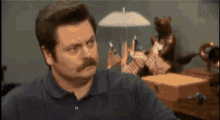 shut parks and rec hammer shut parks and rec hammer