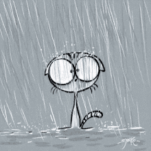 rainy cat raining rain wet cat