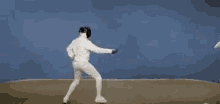 Sword Fight GIF - Sword Fight Fencing GIFs