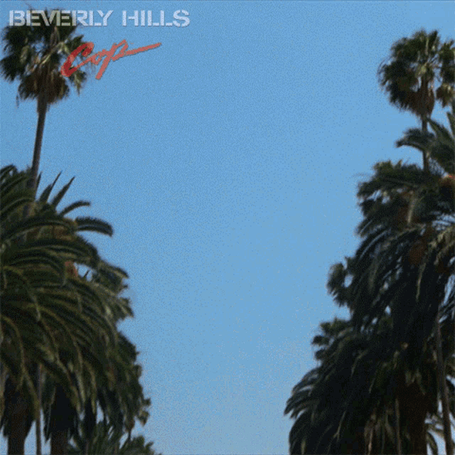 Beverly Hills Beverly Hills Cop Trailer GIF - Beverly Hills Beverly Hills Cop Trailer Beverly Hills Street GIFs
