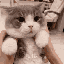 Sahz Cat GIF - Sahz Cat Yeat GIFs