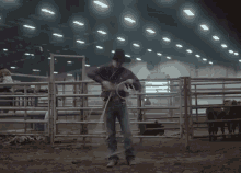 rope spinning rope cowboy rope tricks fever pitch