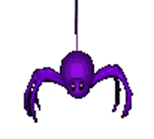 spider spider