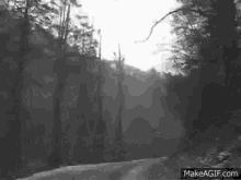 Lonely Road Forest GIF - Lonely Road Forest GIFs