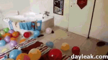 funny animals dogs pets ballons happy birthday