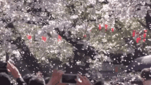 桜が落ちる　桜吹雪  枯れる　花見 GIF - Sakura Fubuki Hanami GIFs