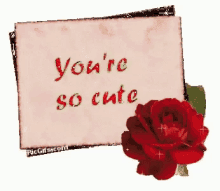 Youre So Cute Valentine Card GIF - Youre So Cute Valentine Card Happy Valentines Day GIFs