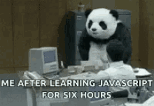 Me After Learning Javascript For Six Hours GIF - Me After Learning Javascript For Six Hours GIFs