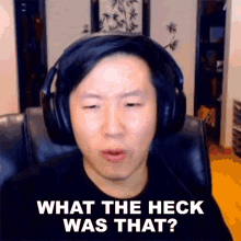 What The Heck Was That Aaron Zheng GIF - What The Heck Was That Aaron Zheng Panda GIFs