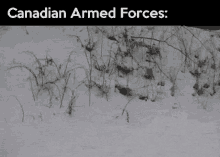 Canadian Armed Forces Snow GIF - Canadian Armed Forces Snow Gun GIFs