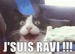 Ravi GIF - Ravi Ravie GIFs
