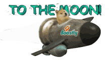 boostlymoon tothemoon dogecoinmoon dogecoinboostly dogecoinrocket boostlymoon tothemoon dogecoinmoon dogecoinboostly dogecoinrocket