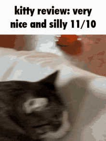 Kitty Review Yoinky Sploinky GIF - Kitty Review Kitty Review GIFs