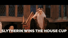 Slytherin Harry Potter GIF - Slytherin Harry Potter House Cup GIFs