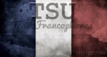 france flag tsu franco phone eiffel tower