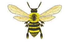 bee drawn flying