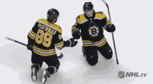 Boston Bruins Ice Hockey GIF - Boston Bruins Ice Hockey Stanley GIFs