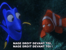 Dory Nage Droit Devant Toi GIF - Dory Nage Droit Devant Toi Le Monde De Nemo GIFs