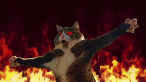 cat-flames.gif