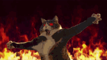 cat flames chaos cat flames fire cat