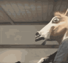 Horse Reload GIF - Horse Reload Horse Mask GIFs