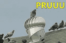 Pru Prru Pruu Pombo Pombagira GIF - Pru Prru Pruu GIFs