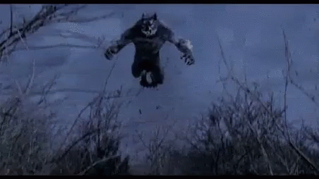 wearwolfwere-werewolfwhere.gif