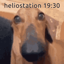 fulpstation heliostation