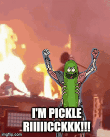 Pickle Rick Rick And Morty GIF - Pickle Rick Rick And Morty GIFs