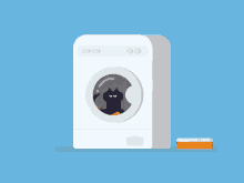cat washing machine animal framesequence framesequence gifs