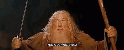Gandalf You Shall Not Past GIF - Gandalf You Shall Not Past Lord Of The  Rings - Discover &amp; Share GIFs