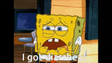i got diarrhea flats the founder spongebob squarepants spongebob squarepants