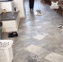 Mop Cleaning GIF - Mop Cleaning Dog GIFs
