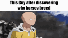 this guy discovery horses breed scu