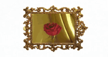 Rose Wrapped In Gold GIF - Rose Wrapped In Gold Dripping GIFs