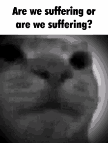 Pain Are We Suffering GIF - Pain Are We Suffering Swag GIFs