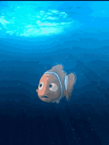 Finding Nemo Clown Fish GIF - Finding Nemo Nemo Clown Fish GIFs